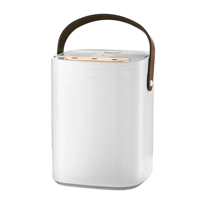 Essential Oil Diffuser Light